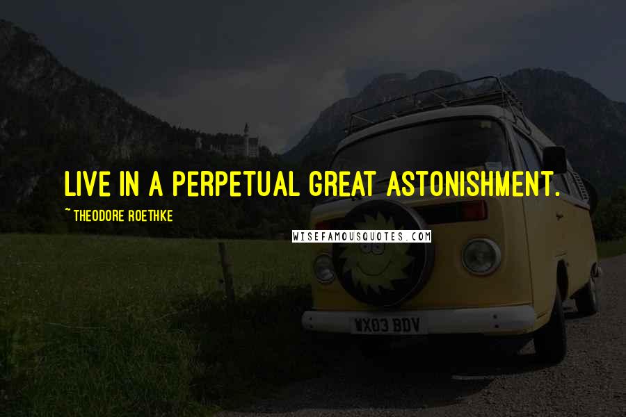 Theodore Roethke Quotes: Live in a perpetual great astonishment.