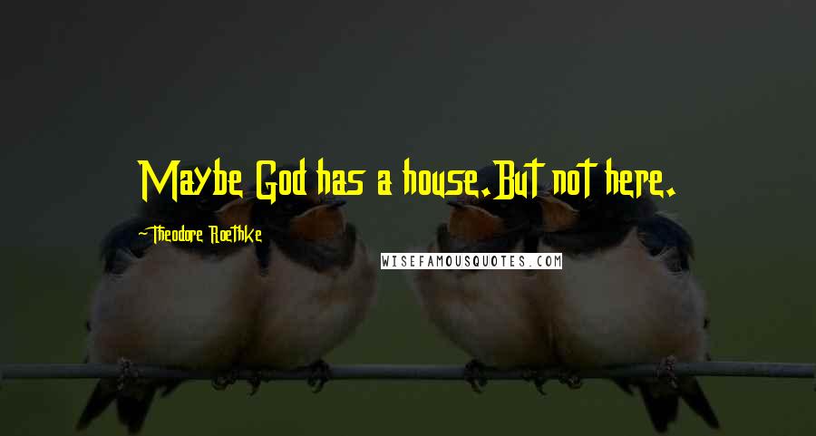 Theodore Roethke Quotes: Maybe God has a house.But not here.