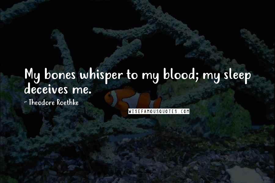 Theodore Roethke Quotes: My bones whisper to my blood; my sleep deceives me.