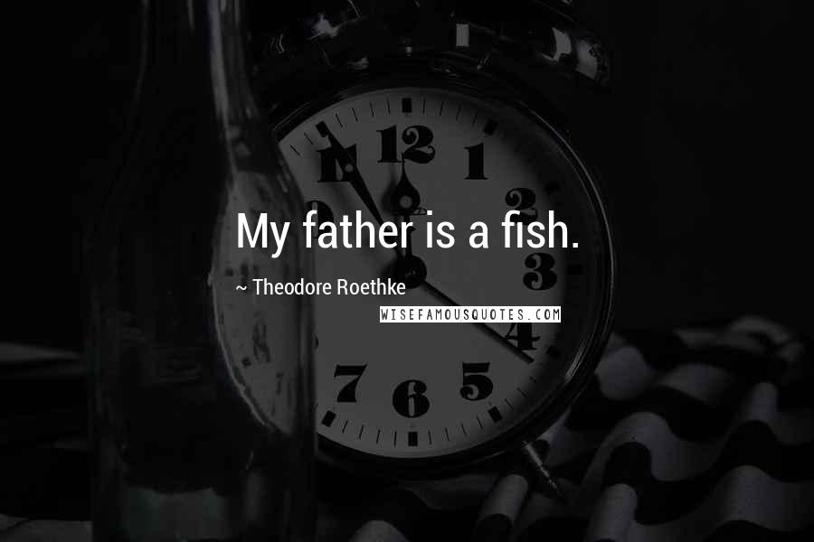 Theodore Roethke Quotes: My father is a fish.