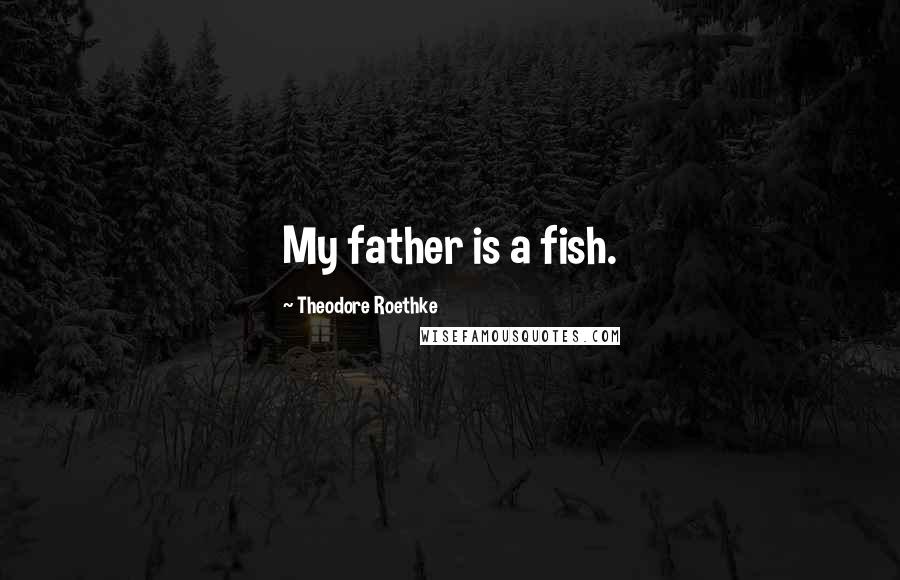 Theodore Roethke Quotes: My father is a fish.