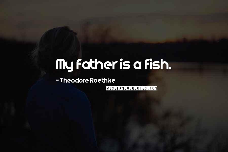 Theodore Roethke Quotes: My father is a fish.
