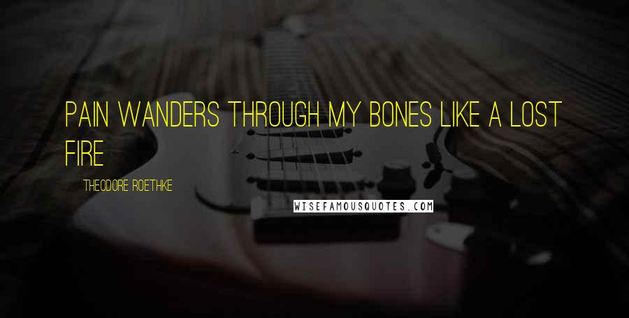 Theodore Roethke Quotes: Pain wanders through my bones like a lost fire