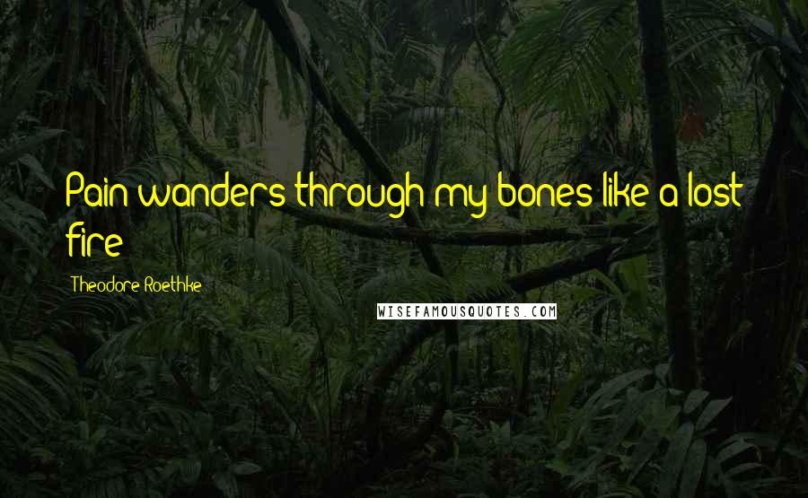 Theodore Roethke Quotes: Pain wanders through my bones like a lost fire