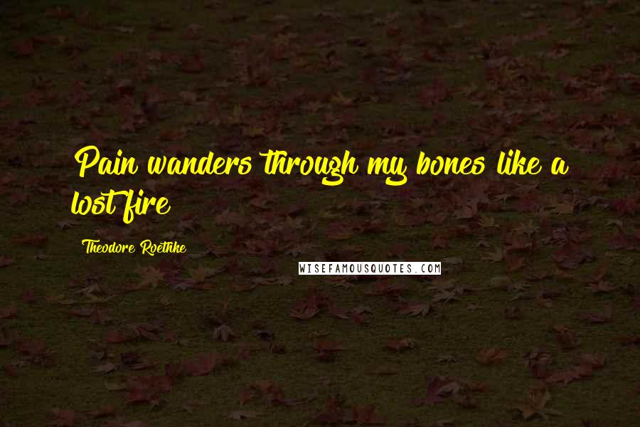 Theodore Roethke Quotes: Pain wanders through my bones like a lost fire