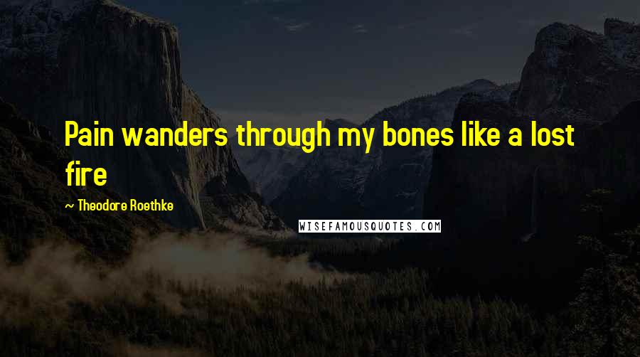 Theodore Roethke Quotes: Pain wanders through my bones like a lost fire