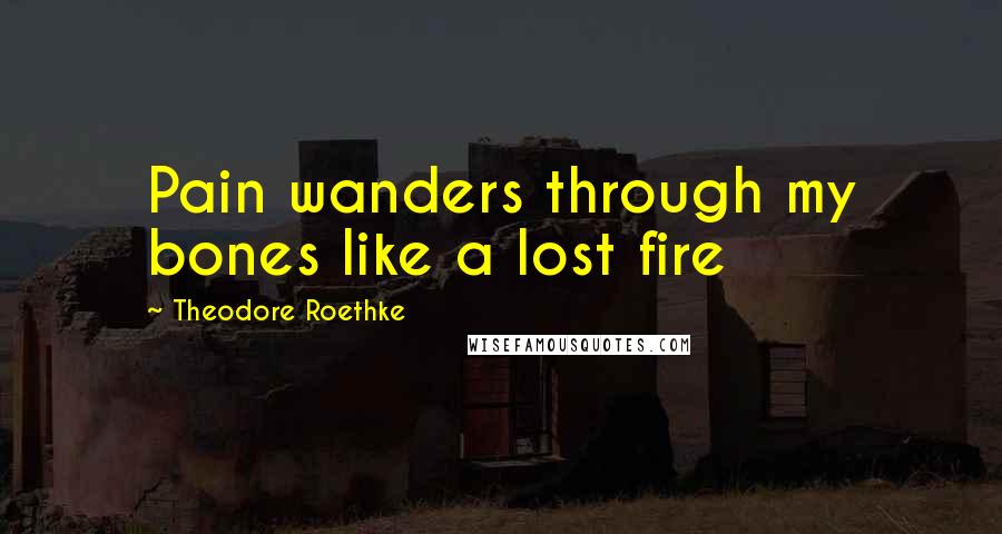 Theodore Roethke Quotes: Pain wanders through my bones like a lost fire