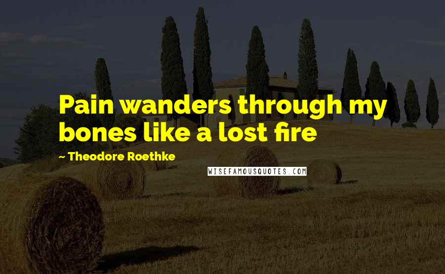 Theodore Roethke Quotes: Pain wanders through my bones like a lost fire