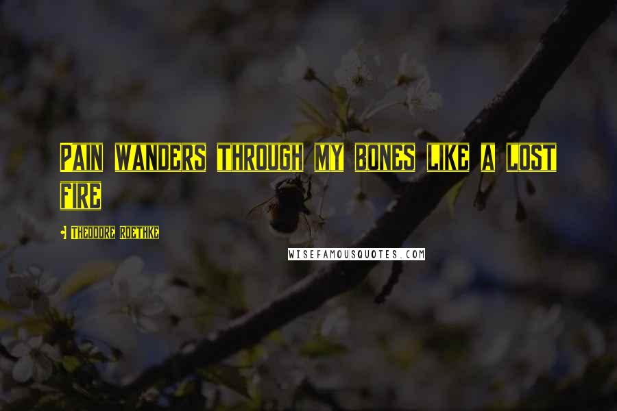 Theodore Roethke Quotes: Pain wanders through my bones like a lost fire