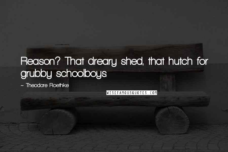 Theodore Roethke Quotes: Reason? That dreary shed, that hutch for grubby schoolboys.