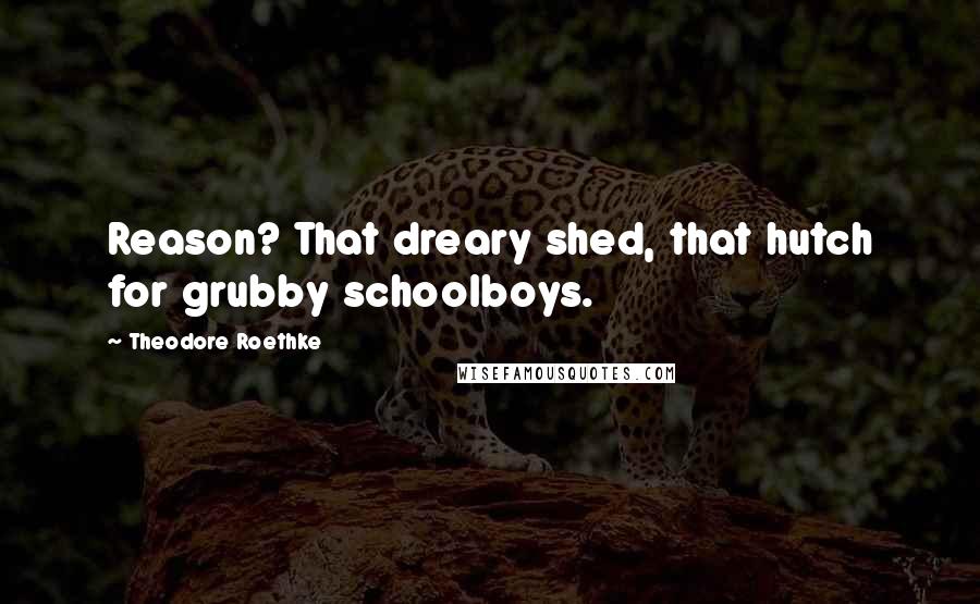 Theodore Roethke Quotes: Reason? That dreary shed, that hutch for grubby schoolboys.