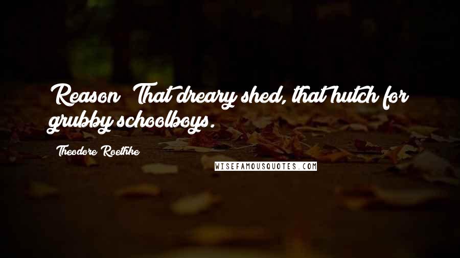 Theodore Roethke Quotes: Reason? That dreary shed, that hutch for grubby schoolboys.