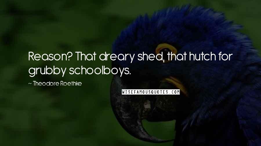 Theodore Roethke Quotes: Reason? That dreary shed, that hutch for grubby schoolboys.