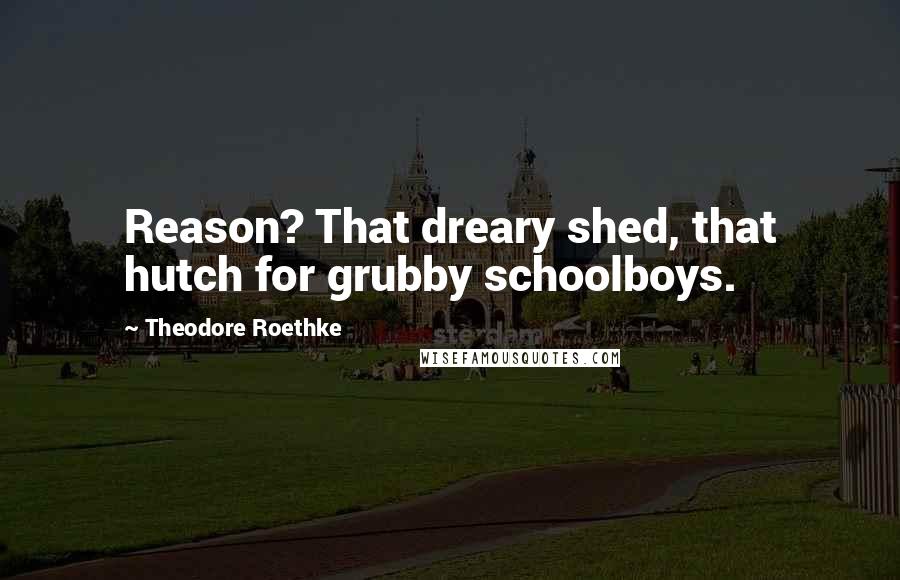 Theodore Roethke Quotes: Reason? That dreary shed, that hutch for grubby schoolboys.