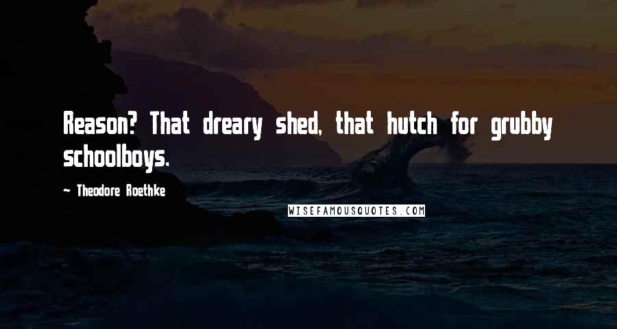 Theodore Roethke Quotes: Reason? That dreary shed, that hutch for grubby schoolboys.