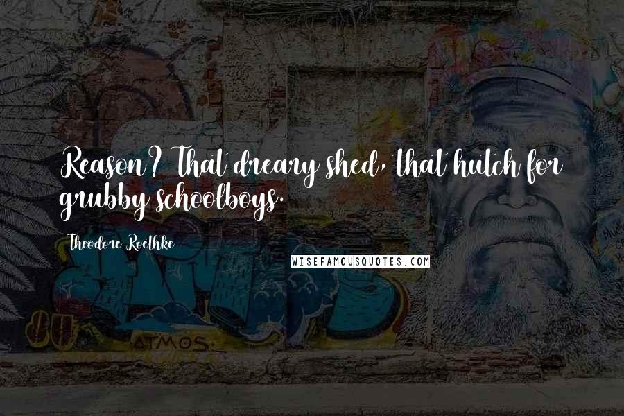 Theodore Roethke Quotes: Reason? That dreary shed, that hutch for grubby schoolboys.