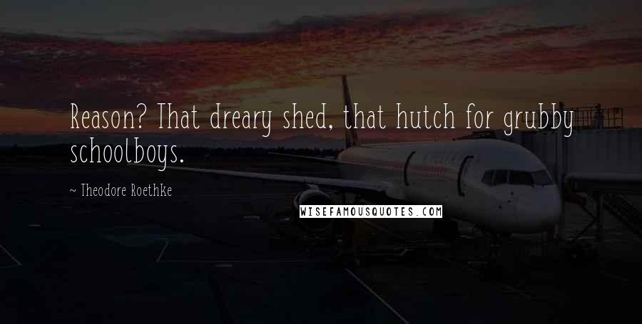 Theodore Roethke Quotes: Reason? That dreary shed, that hutch for grubby schoolboys.