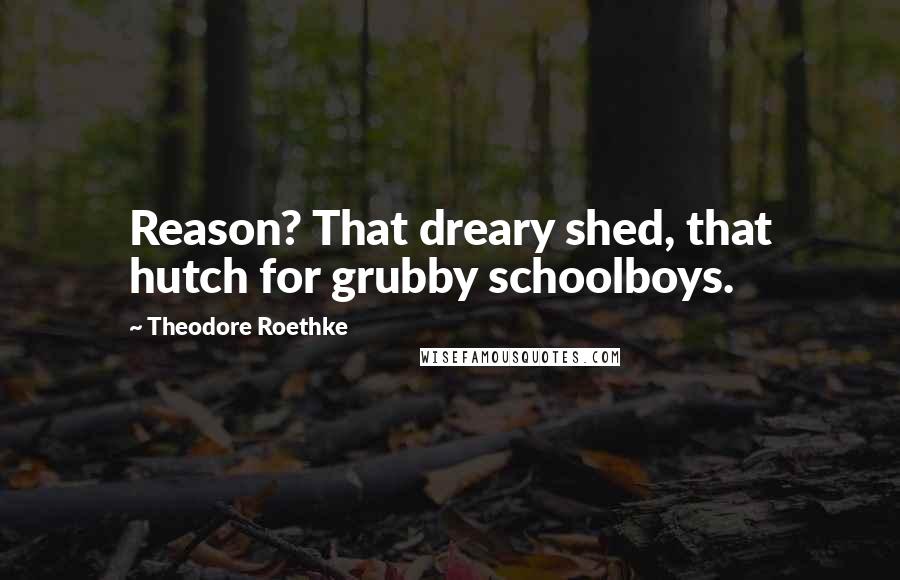 Theodore Roethke Quotes: Reason? That dreary shed, that hutch for grubby schoolboys.