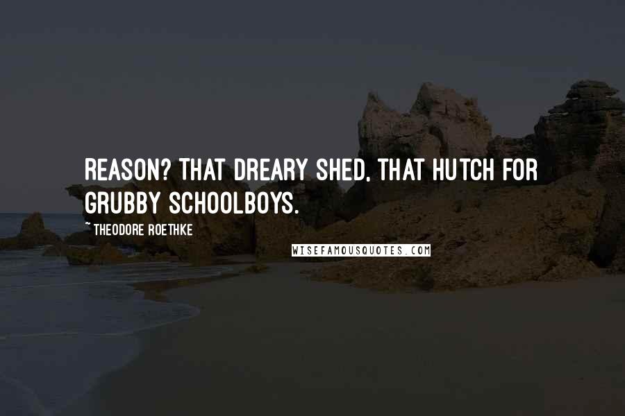 Theodore Roethke Quotes: Reason? That dreary shed, that hutch for grubby schoolboys.