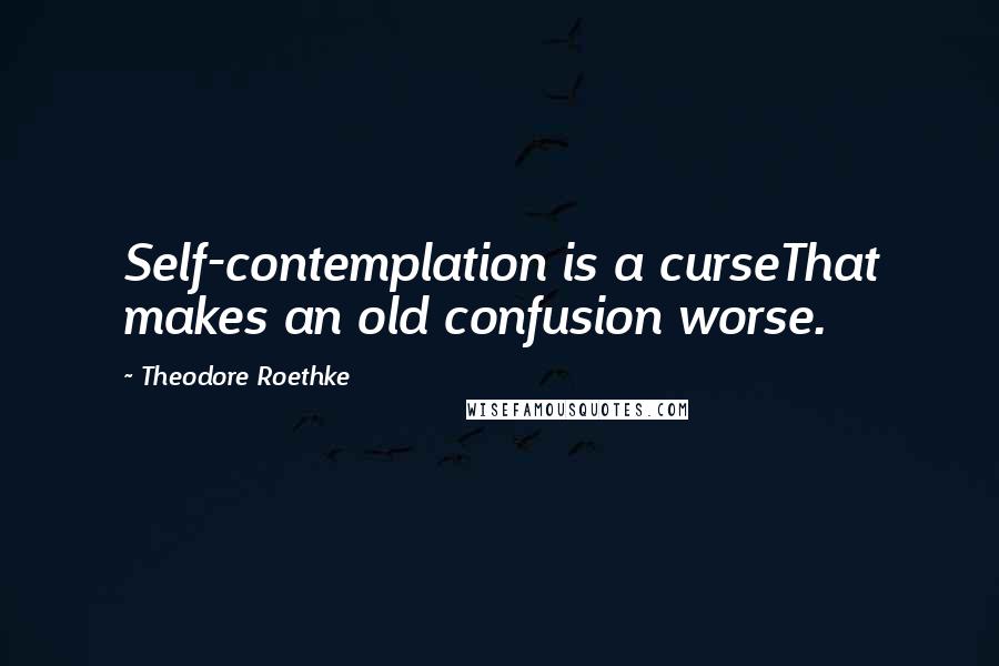 Theodore Roethke Quotes: Self-contemplation is a curseThat makes an old confusion worse.