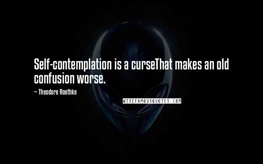 Theodore Roethke Quotes: Self-contemplation is a curseThat makes an old confusion worse.