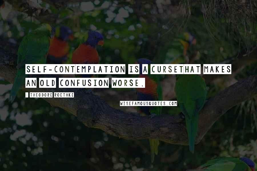 Theodore Roethke Quotes: Self-contemplation is a curseThat makes an old confusion worse.