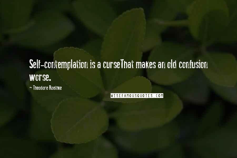 Theodore Roethke Quotes: Self-contemplation is a curseThat makes an old confusion worse.