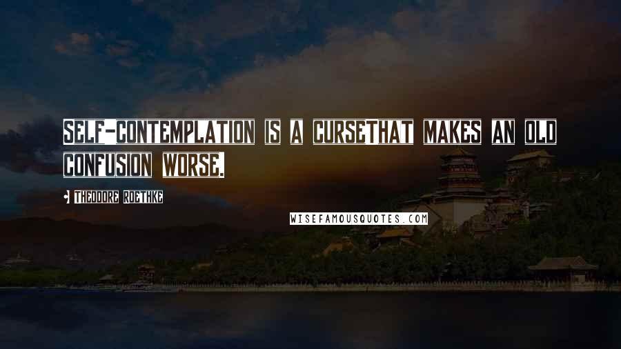 Theodore Roethke Quotes: Self-contemplation is a curseThat makes an old confusion worse.