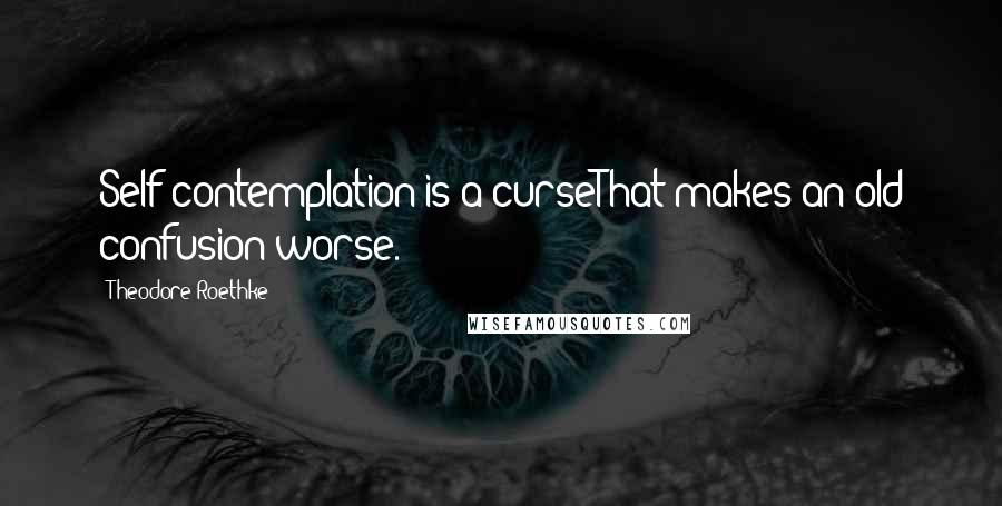 Theodore Roethke Quotes: Self-contemplation is a curseThat makes an old confusion worse.