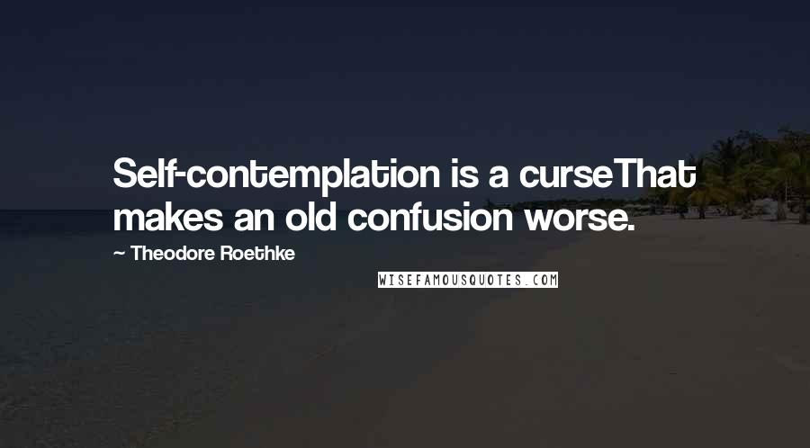 Theodore Roethke Quotes: Self-contemplation is a curseThat makes an old confusion worse.