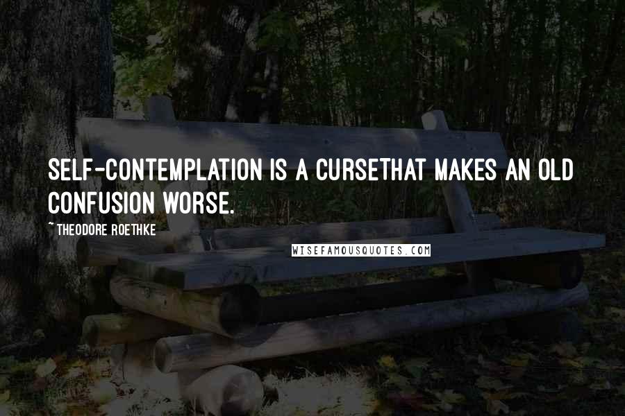 Theodore Roethke Quotes: Self-contemplation is a curseThat makes an old confusion worse.