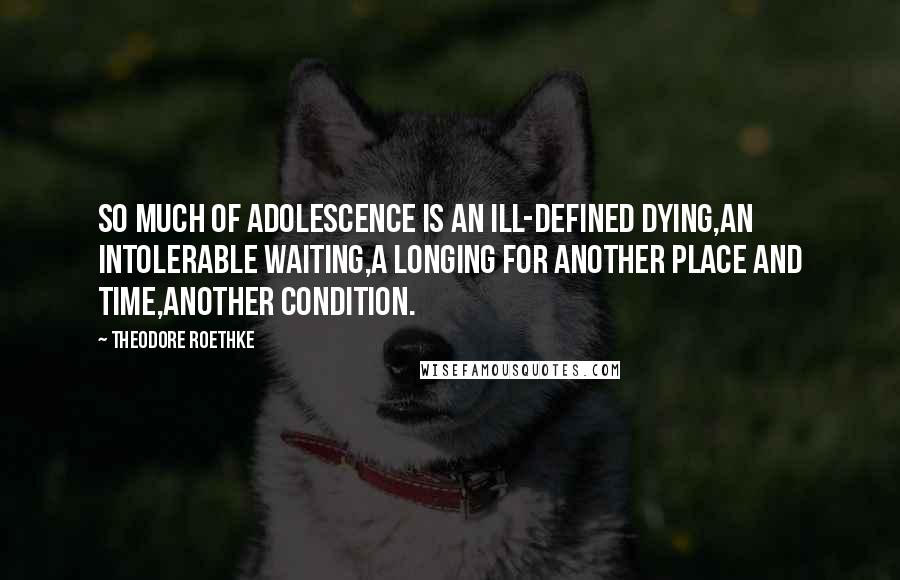 Theodore Roethke Quotes: So much of adolescence is an ill-defined dying,An intolerable waiting,A longing for another place and time,Another condition.