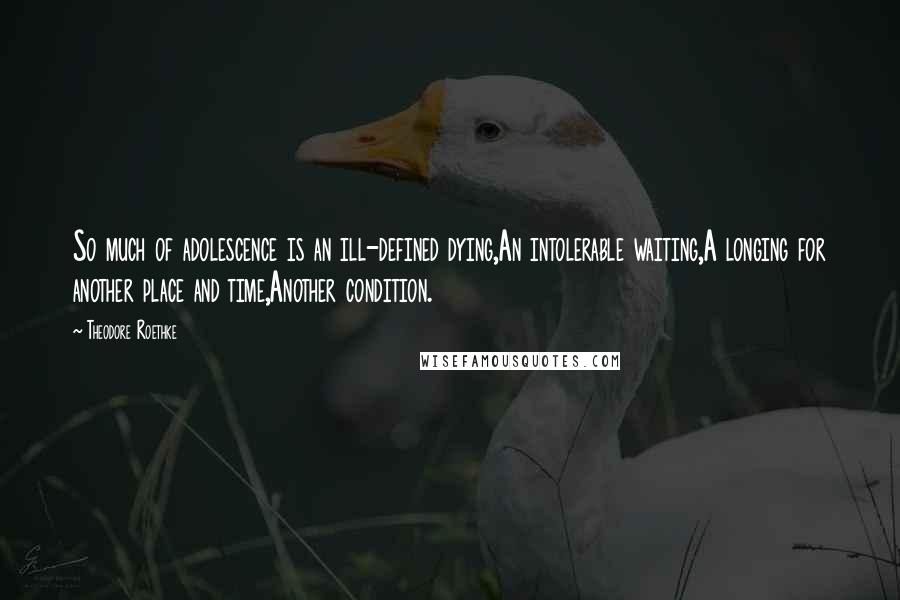 Theodore Roethke Quotes: So much of adolescence is an ill-defined dying,An intolerable waiting,A longing for another place and time,Another condition.