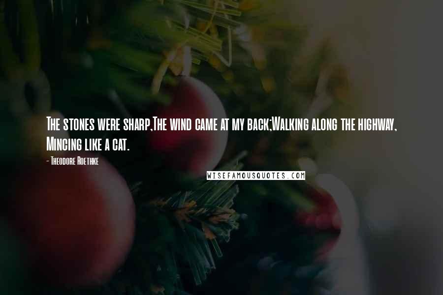 Theodore Roethke Quotes: The stones were sharp,The wind came at my back;Walking along the highway, Mincing like a cat.