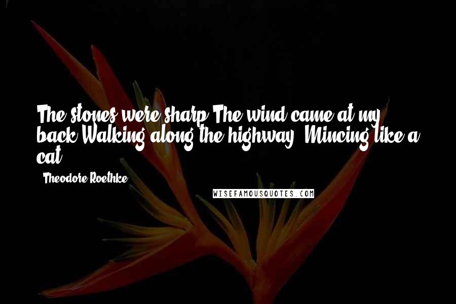 Theodore Roethke Quotes: The stones were sharp,The wind came at my back;Walking along the highway, Mincing like a cat.