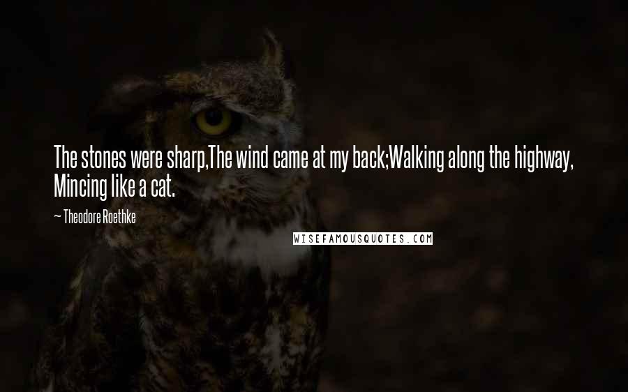 Theodore Roethke Quotes: The stones were sharp,The wind came at my back;Walking along the highway, Mincing like a cat.