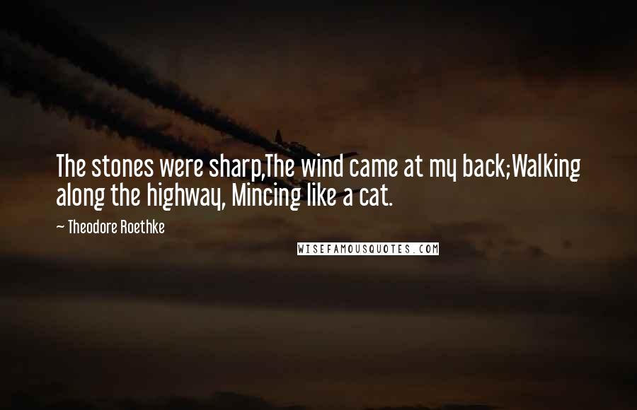 Theodore Roethke Quotes: The stones were sharp,The wind came at my back;Walking along the highway, Mincing like a cat.