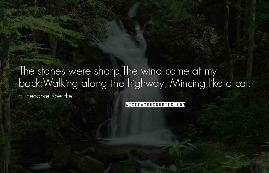 Theodore Roethke Quotes: The stones were sharp,The wind came at my back;Walking along the highway, Mincing like a cat.