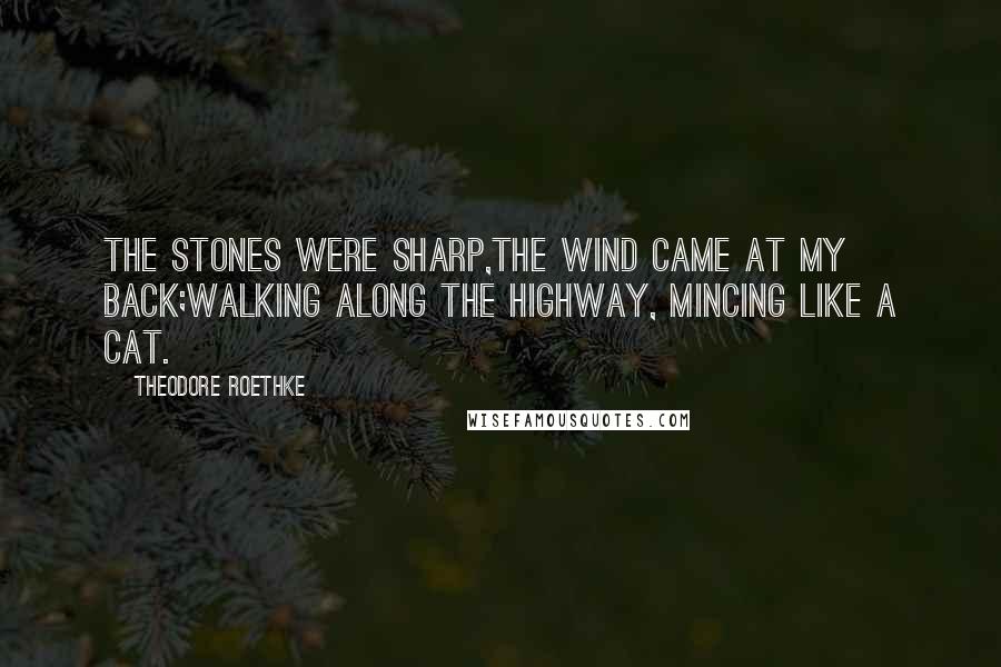 Theodore Roethke Quotes: The stones were sharp,The wind came at my back;Walking along the highway, Mincing like a cat.