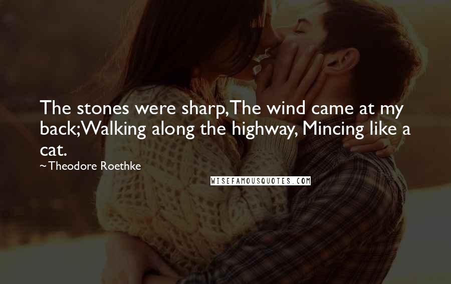 Theodore Roethke Quotes: The stones were sharp,The wind came at my back;Walking along the highway, Mincing like a cat.