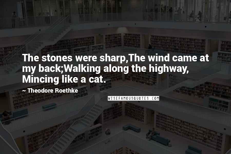 Theodore Roethke Quotes: The stones were sharp,The wind came at my back;Walking along the highway, Mincing like a cat.