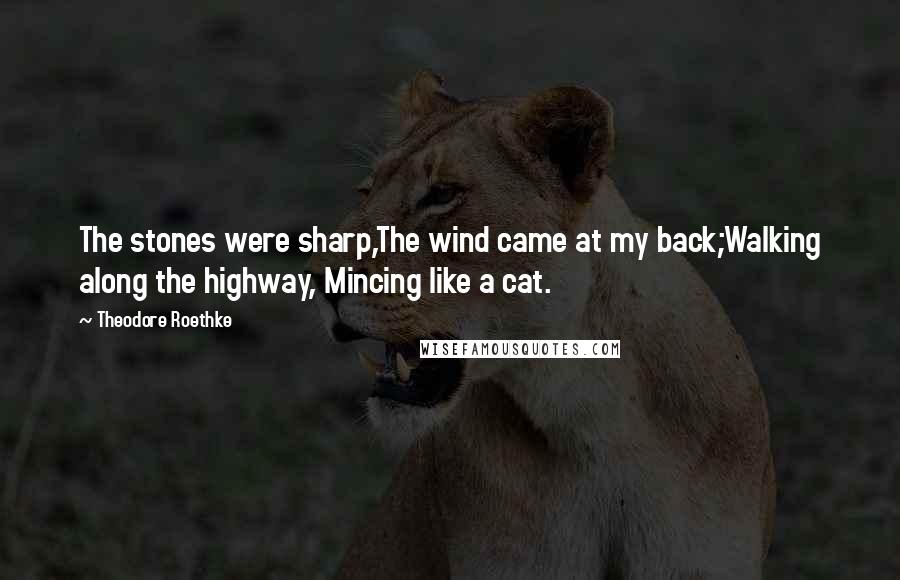 Theodore Roethke Quotes: The stones were sharp,The wind came at my back;Walking along the highway, Mincing like a cat.