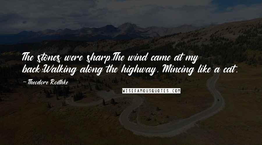 Theodore Roethke Quotes: The stones were sharp,The wind came at my back;Walking along the highway, Mincing like a cat.