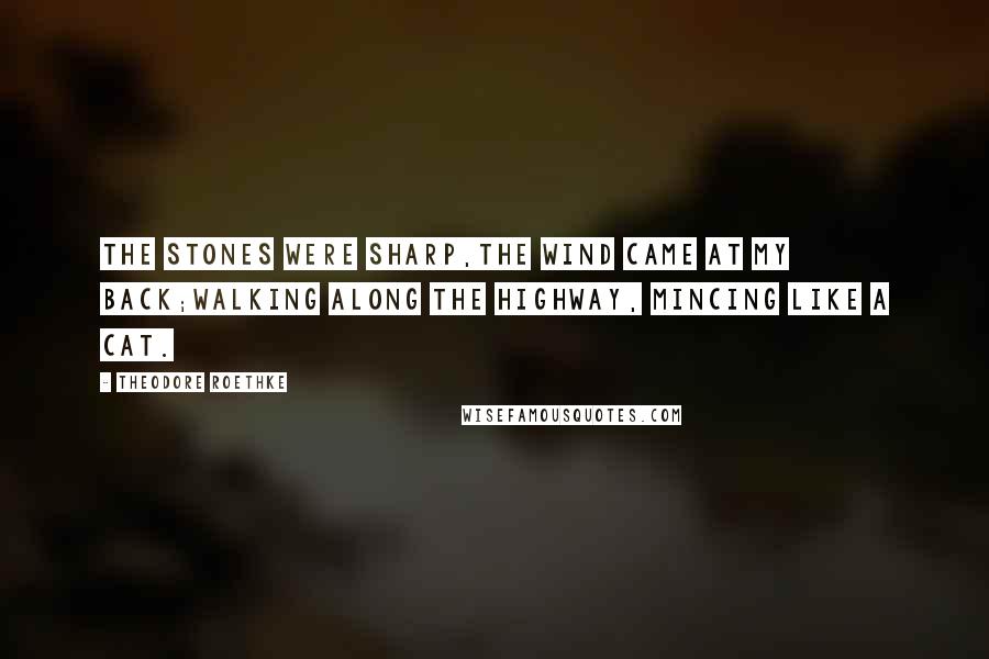 Theodore Roethke Quotes: The stones were sharp,The wind came at my back;Walking along the highway, Mincing like a cat.