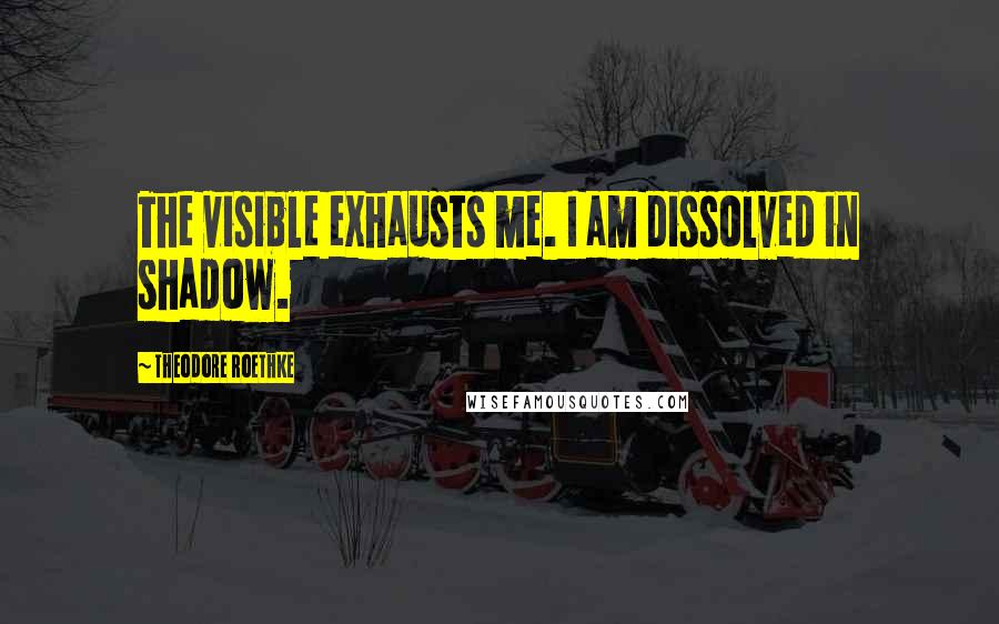 Theodore Roethke Quotes: The visible exhausts me. I am dissolved in shadow.