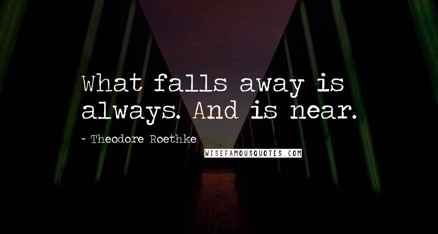 Theodore Roethke Quotes: What falls away is always. And is near.