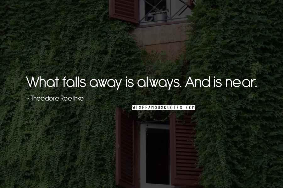 Theodore Roethke Quotes: What falls away is always. And is near.