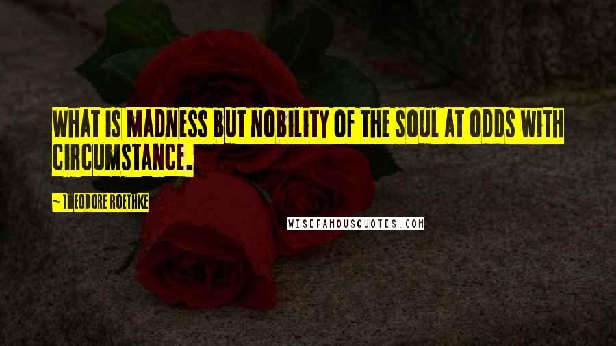 Theodore Roethke Quotes: What is madness but nobility of the soul at odds with circumstance.