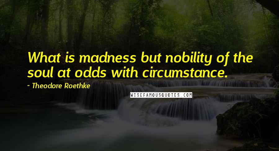 Theodore Roethke Quotes: What is madness but nobility of the soul at odds with circumstance.