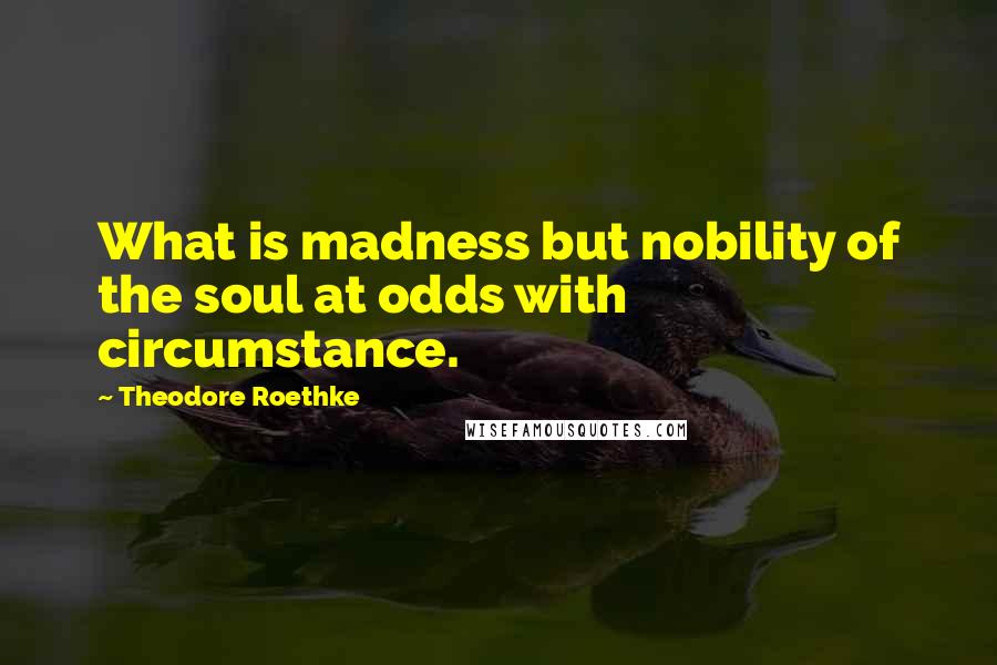 Theodore Roethke Quotes: What is madness but nobility of the soul at odds with circumstance.